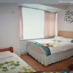 Room In Guest Room - Family Room Sleeps 3 With 1 Double And 1 Single Bed Ground Floor Private Shower